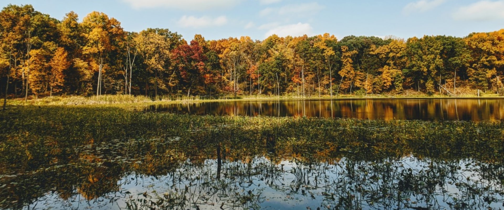 Why You'll Love Indianapolis