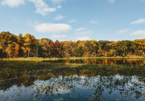 Why You'll Love Indianapolis